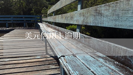 美元信用卡逾期
