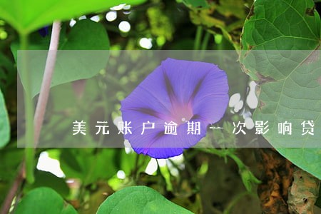 美元账户逾期一次影响贷款吗 美元账户逾期一次影响贷款吗