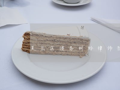 美兰区债务纠纷律师预约 美兰区债务纠纷律师预约
