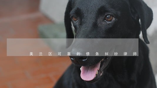 美兰区可靠的债务纠纷律师 美兰区可靠的债务纠纷律师