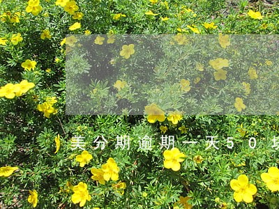 美分期逾期一天50块钱