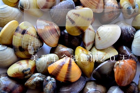 美利车金融逾期20天 美利车金融逾期20天