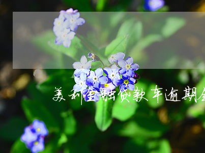 美利金融贷款车逾期会起诉吗