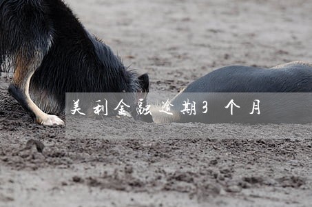 美利金融逾期3个月 美利金融逾期3个月