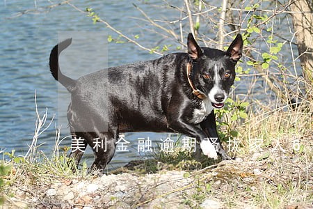 美利金融逾期骚扰家人6 美利金融逾期骚扰家人6