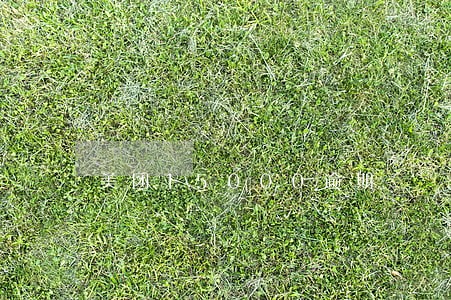 美团15000逾期 美团15000逾期