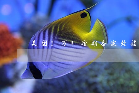 美团1万9逾期备案处理 美团1万9逾期备案处理