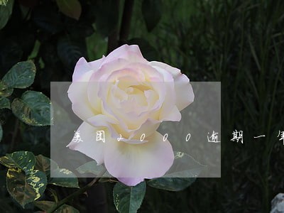 美团2000逾期一年