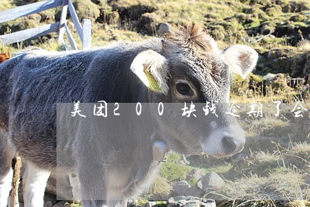 美团200块钱逾期了会去家里吗 美团200块钱逾期了会去家里吗