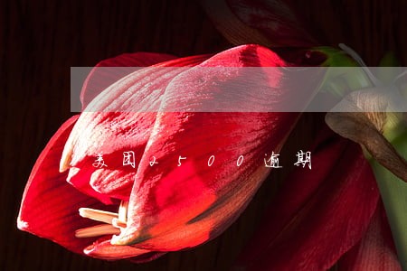 美团2500逾期 美团2500逾期