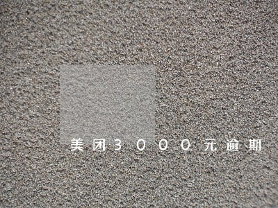 美团3000元逾期 美团3000元逾期
