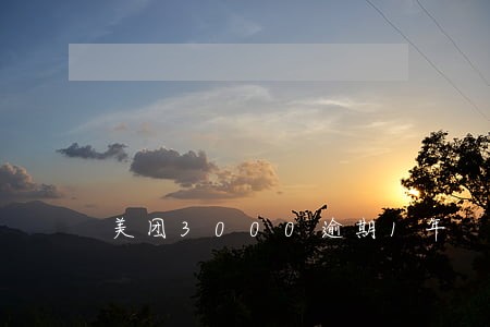 美团3000逾期1年 美团3000逾期1年