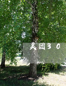 美团30天逾期图片