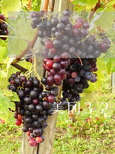美团3200逾期90天 美团3200逾期90天