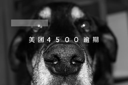 美团4500逾期 美团4500逾期