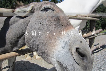 美团500块逾期8天 美团500块逾期8天