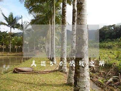 美团50块钱逾期 美团50块钱逾期
