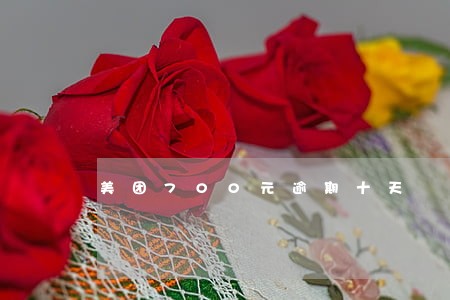 美团700元逾期十天 美团700元逾期十天