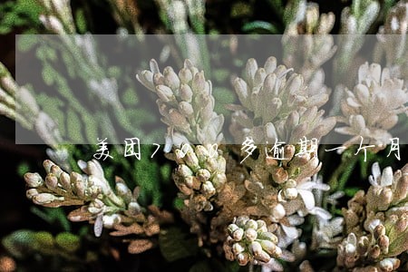 美团700多逾期一个月 美团700多逾期一个月
