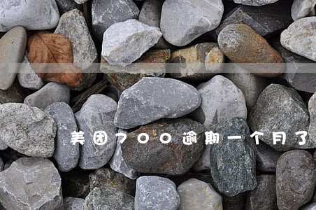 美团700逾期一个月了 美团700逾期一个月了