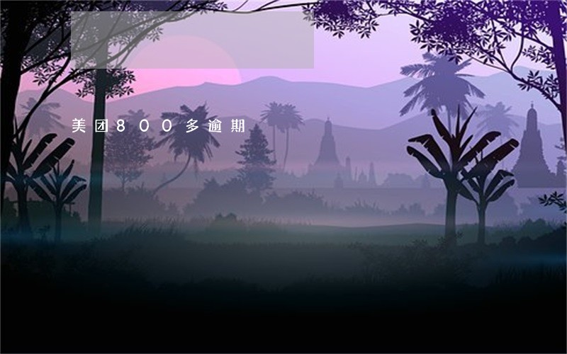 美团800多逾期