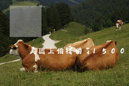美团上借钱借了1500逾期 美团上借钱借了1500逾期