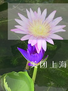 美团上海信用卡逾期一天上征信吗 美团上海信用卡逾期一天上征信吗