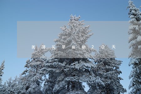 美团买单逾期20天 美团买单逾期20天