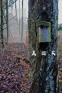 美团买单逾期2天 美团买单逾期2天