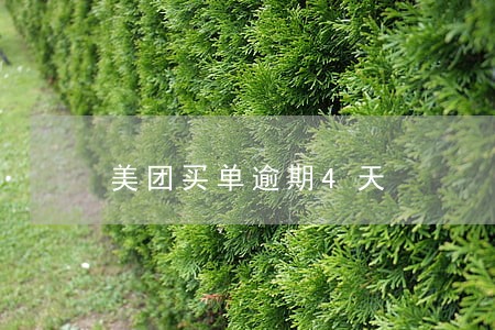 美团买单逾期4天 美团买单逾期4天