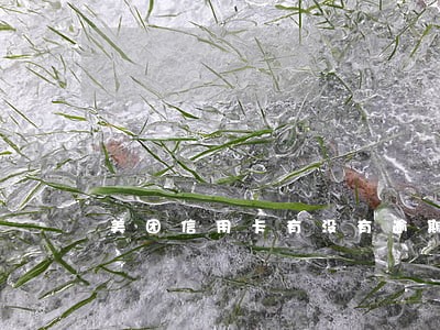 美团信用卡有没有逾期 美团信用卡有没有逾期