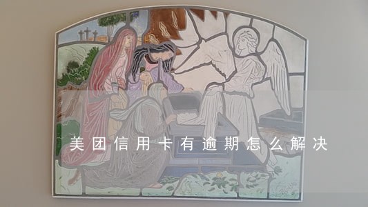 美团信用卡有逾期怎么解决 美团信用卡有逾期怎么解决