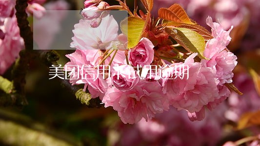 美团信用卡试用逾期 美团信用卡试用逾期