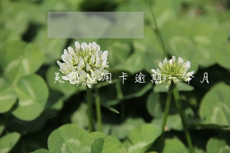 美团信用卡逾期一个月 美团信用卡逾期一个月