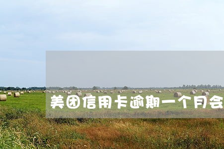 美团信用卡逾期一个月会怎样 美团信用卡逾期一个月会怎样