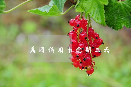 美团信用卡逾期三天 美团信用卡逾期三天