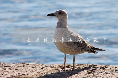 美团信用卡逾期两天了 美团信用卡逾期两天了