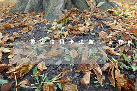 美团信用卡逾期了会有问题吗