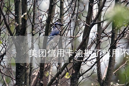 美团信用卡逾期了就用不了了吗 美团信用卡逾期了就用不了了吗