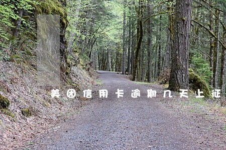 美团信用卡逾期几天上征信