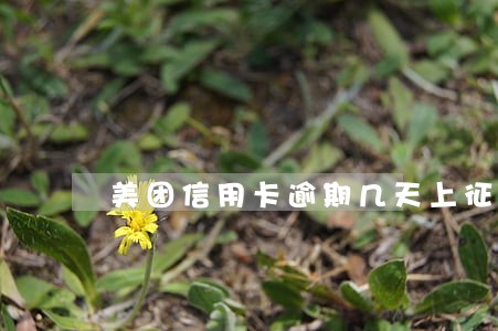 美团信用卡逾期几天上征信报告 美团信用卡逾期几天上征信报告