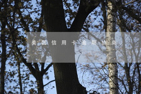 美团信用卡逾期协商