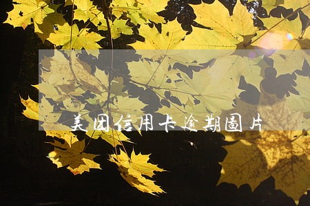 美团信用卡逾期图片