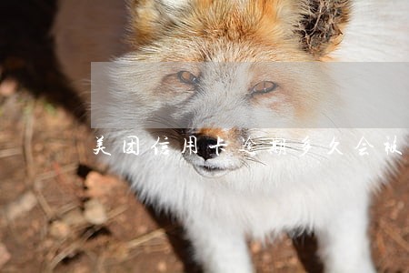 美团信用卡逾期多久会被冻结 美团信用卡逾期多久会被冻结