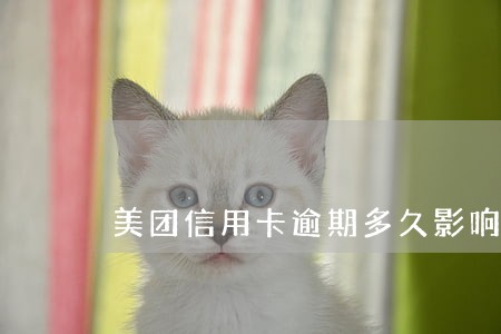 美团信用卡逾期多久影响征信