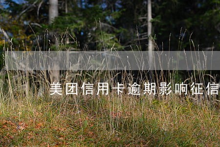 美团信用卡逾期影响征信吗 美团信用卡逾期影响征信吗