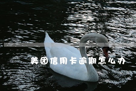 美团信用卡逾期怎么办 美团信用卡逾期怎么办