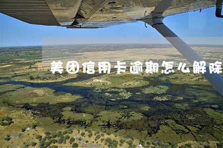 美团信用卡逾期怎么解除 美团信用卡逾期怎么解除