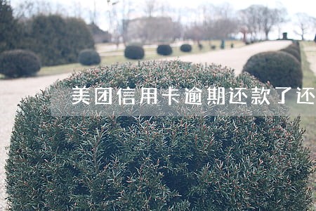 美团信用卡逾期还款了还能用吗 美团信用卡逾期还款了还能用吗