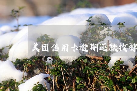 美团信用卡逾期还款找律师 美团信用卡逾期还款找律师